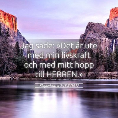 Picture 05 - Klagovisorna 3:18 SV1917 - Jag sade: »Det är ute med min livskraft och med - Bible Verse Picture