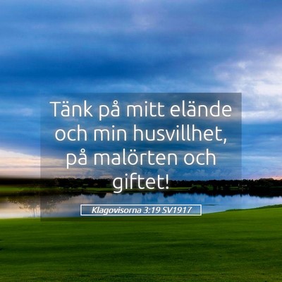 Picture 05 - Klagovisorna 3:19 SV1917 - Tänk på mitt elände och min husvillhet, på - Bible Verse Picture