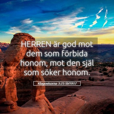 Picture 05 - Klagovisorna 3:25 SV1917 - HERREN är god mot dem som förbida honom, mot - Bible Verse Picture