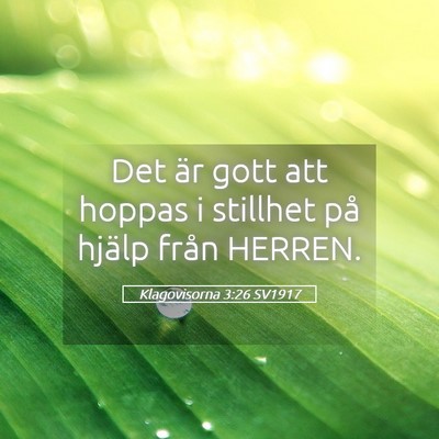 Picture 05 - Klagovisorna 3:26 SV1917 - Det är gott att hoppas i stillhet på hjälp - Bible Verse Picture