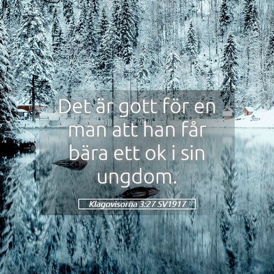 Picture 05 - Klagovisorna 3:27 SV1917 - Det är gott för en man att han får bära ett - Bible Verse Picture