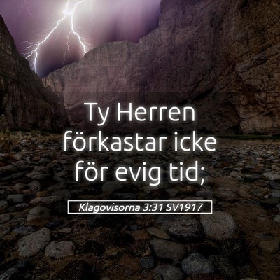 Picture 05 - Klagovisorna 3:31 SV1917 - Ty Herren förkastar icke för evig - Bible Verse Picture