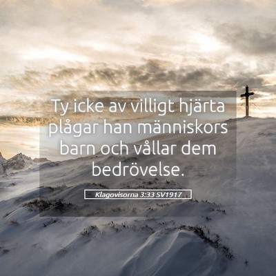 Picture 05 - Klagovisorna 3:33 SV1917 - Ty icke av villigt hjärta plågar han - Bible Verse Picture