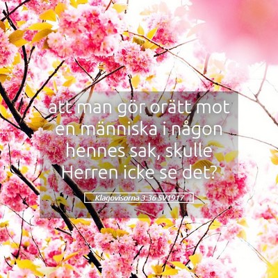 Picture 05 - Klagovisorna 3:36 SV1917 - att man gör orätt mot en människa i någon - Bible Verse Picture