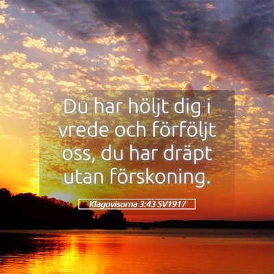 Picture 05 - Klagovisorna 3:43 SV1917 - Du har höljt dig i vrede och förföljt oss, du - Bible Verse Picture