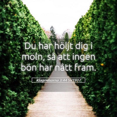 Picture 05 - Klagovisorna 3:44 SV1917 - Du har höljt dig i moln, så att ingen bön har - Bible Verse Picture