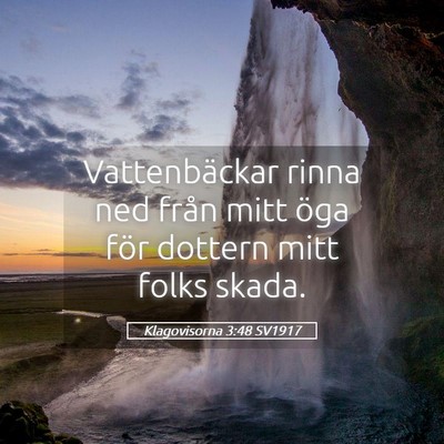 Picture 05 - Klagovisorna 3:48 SV1917 - Vattenbäckar rinna ned från mitt öga för - Bible Verse Picture