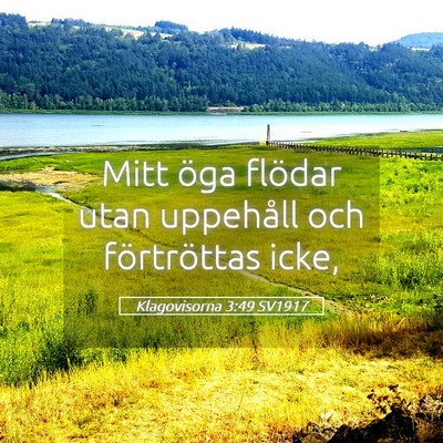 Picture 05 - Klagovisorna 3:49 SV1917 - Mitt öga flödar utan uppehåll och förtröttas - Bible Verse Picture