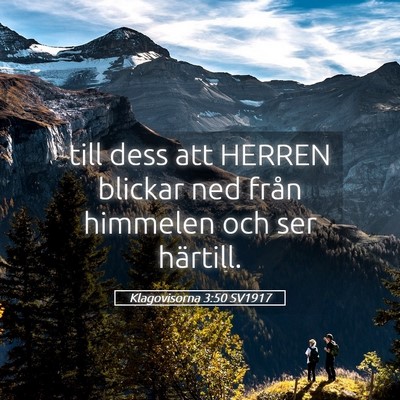 Picture 05 - Klagovisorna 3:50 SV1917 - till dess att HERREN blickar ned från himmelen - Bible Verse Picture