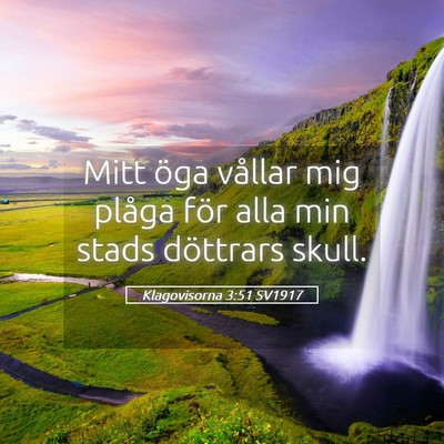 Picture 05 - Klagovisorna 3:51 SV1917 - Mitt öga vållar mig plåga för alla min stads - Bible Verse Picture