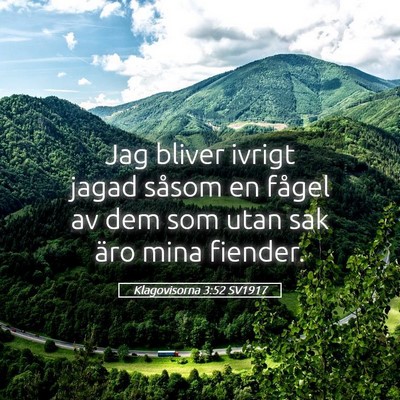 Picture 05 - Klagovisorna 3:52 SV1917 - Jag bliver ivrigt jagad såsom en fågel av dem - Bible Verse Picture