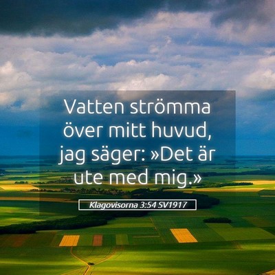 Picture 05 - Klagovisorna 3:54 SV1917 - Vatten strömma över mitt huvud, jag säger: - Bible Verse Picture