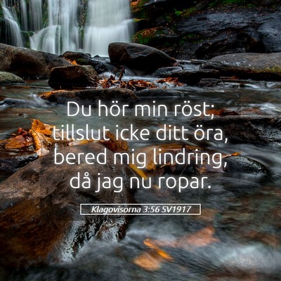 Picture 05 - Klagovisorna 3:56 SV1917 - Du hör min röst; tillslut icke ditt öra, bered - Bible Verse Picture