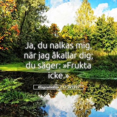 Picture 05 - Klagovisorna 3:57 SV1917 - Ja, du nalkas mig, när jag åkallar dig; du - Bible Verse Picture