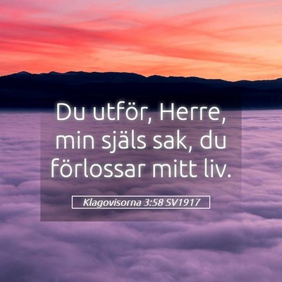 Picture 05 - Klagovisorna 3:58 SV1917 - Du utför, Herre, min själs sak, du förlossar - Bible Verse Picture