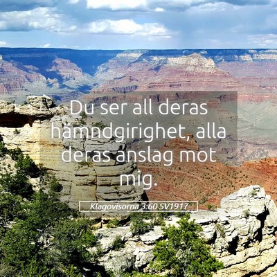 Picture 05 - Klagovisorna 3:60 SV1917 - Du ser all deras hämndgirighet, alla deras - Bible Verse Picture