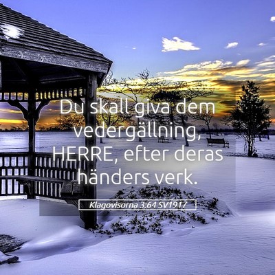 Picture 05 - Klagovisorna 3:64 SV1917 - Du skall giva dem vedergällning, HERRE, efter - Bible Verse Picture