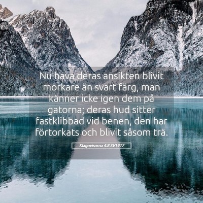 Picture 05 - Klagovisorna 4:8 SV1917 - Nu hava deras ansikten blivit mörkare än svart - Bible Verse Picture
