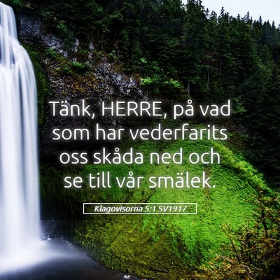Picture 05 - Klagovisorna 5:1 SV1917 - Tänk, HERRE, på vad som har vederfarits oss - Bible Verse Picture