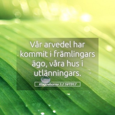 Picture 05 - Klagovisorna 5:2 SV1917 - Vår arvedel har kommit i främlingars ägo, - Bible Verse Picture