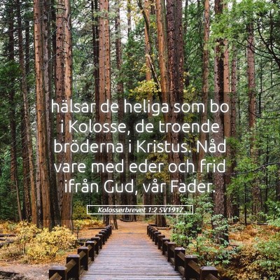 Picture 05 - Kolosserbrevet 1:2 SV1917 - hälsar de heliga som bo i Kolosse, de troende - Bible Verse Picture