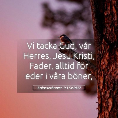 Picture 05 - Kolosserbrevet 1:3 SV1917 - Vi tacka Gud, vår Herres, Jesu Kristi, Fader, - Bible Verse Picture