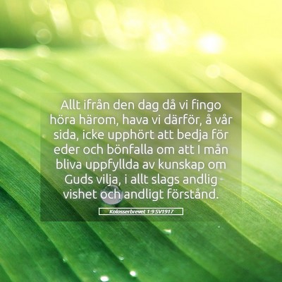 Picture 05 - Kolosserbrevet 1:9 SV1917 - Allt ifrån den dag då vi fingo höra härom, - Bible Verse Picture