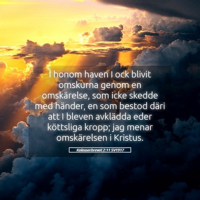 Picture 05 - Kolosserbrevet 2:11 SV1917 - I honom haven I ock blivit omskurna genom en - Bible Verse Picture