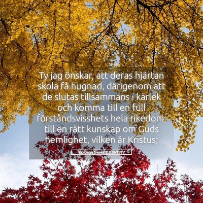 Picture 05 - Kolosserbrevet 2:2 SV1917 - Ty jag önskar, att deras hjärtan skola få - Bible Verse Picture