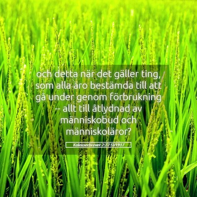 Picture 05 - Kolosserbrevet 2:22 SV1917 - och detta när det gäller ting, som alla äro - Bible Verse Picture