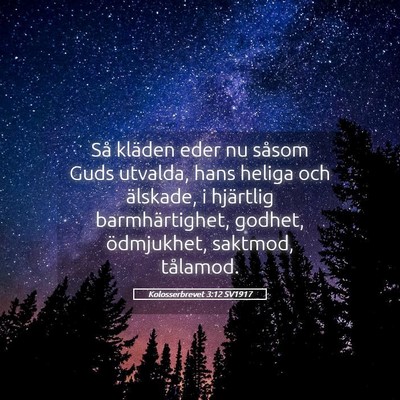 Picture 05 - Kolosserbrevet 3:12 SV1917 - Så kläden eder nu såsom Guds utvalda, hans - Bible Verse Picture