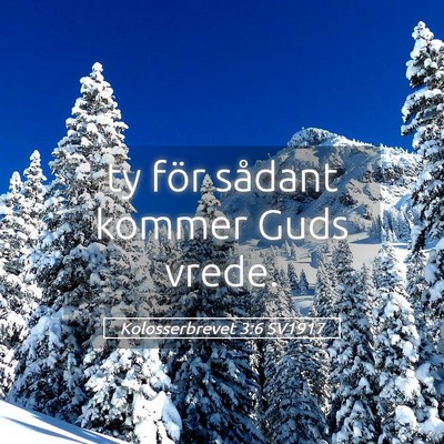 Picture 05 - Kolosserbrevet 3:6 SV1917 - ty för sådant kommer Guds - Bible Verse Picture