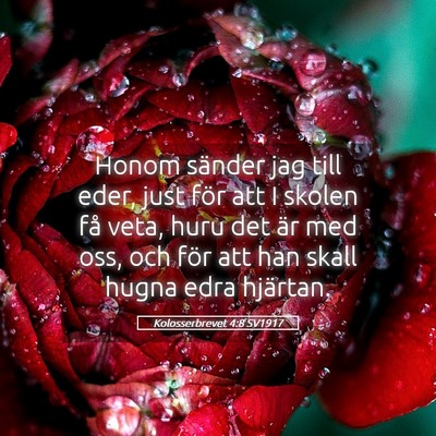 Picture 05 - Kolosserbrevet 4:8 SV1917 - Honom sänder jag till eder, just för att I - Bible Verse Picture