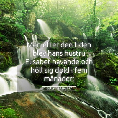 Picture 05 - Lukas 1:24 SV1917 - Men efter den tiden blev hans hustru Elisabet - Bible Verse Picture