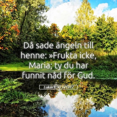Picture 05 - Lukas 1:30 SV1917 - Då sade ängeln till henne: »Frukta icke, - Bible Verse Picture