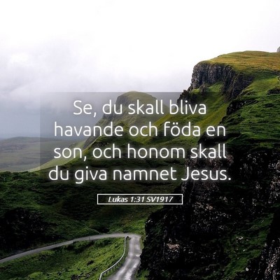Picture 05 - Lukas 1:31 SV1917 - Se, du skall bliva havande och föda en son, och - Bible Verse Picture