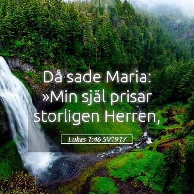 Picture 05 - Lukas 1:46 SV1917 - Då sade Maria: »Min själ prisar storligen - Bible Verse Picture