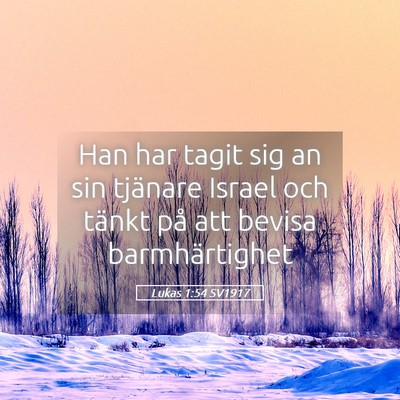 Picture 05 - Lukas 1:54 SV1917 - Han har tagit sig an sin tjänare Israel och - Bible Verse Picture