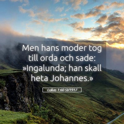 Picture 05 - Lukas 1:60 SV1917 - Men hans moder tog till orda och sade: - Bible Verse Picture