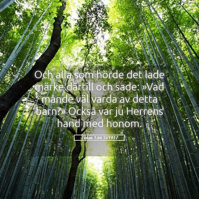 Picture 05 - Lukas 1:66 SV1917 - Och alla som hörde det lade märke därtill och - Bible Verse Picture