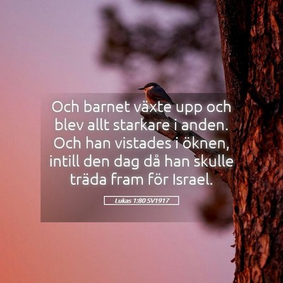 Picture 05 - Lukas 1:80 SV1917 - Och barnet växte upp och blev allt starkare i - Bible Verse Picture