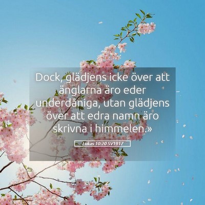 Picture 05 - Lukas 10:20 SV1917 - Dock, glädjens icke över att änglarna äro - Bible Verse Picture