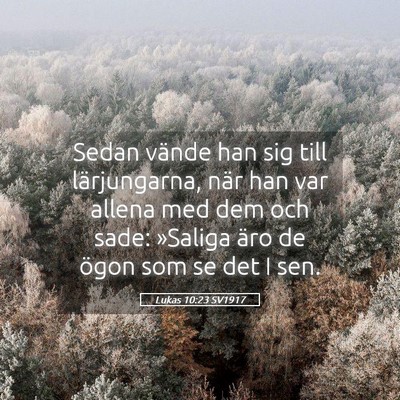 Picture 05 - Lukas 10:23 SV1917 - Sedan vände han sig till lärjungarna, när han - Bible Verse Picture