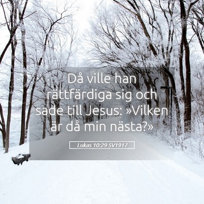 Picture 05 - Lukas 10:29 SV1917 - Då ville han rättfärdiga sig och sade till - Bible Verse Picture