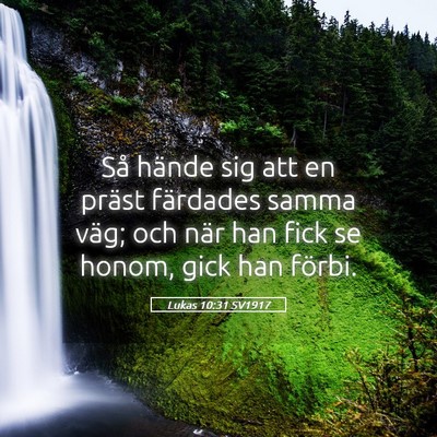 Picture 05 - Lukas 10:31 SV1917 - Så hände sig att en präst färdades samma - Bible Verse Picture