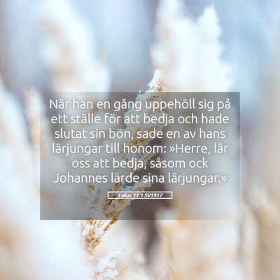 Picture 05 - Lukas 11:1 SV1917 - När han en gång uppehöll sig på ett ställe - Bible Verse Picture