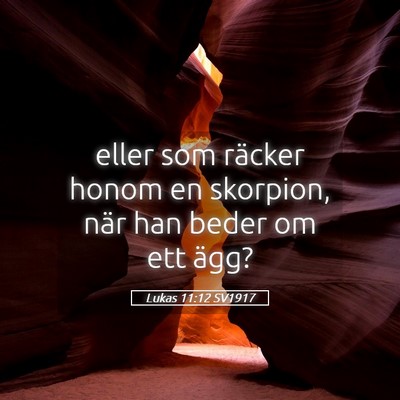 Picture 05 - Lukas 11:12 SV1917 - eller som räcker honom en skorpion, när han - Bible Verse Picture