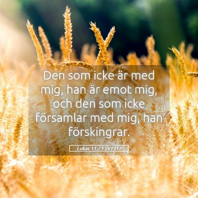 Picture 05 - Lukas 11:23 SV1917 - Den som icke är med mig, han är emot mig, och - Bible Verse Picture