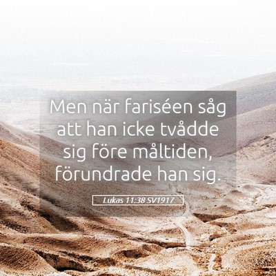 Picture 05 - Lukas 11:38 SV1917 - Men när fariséen såg att han icke tvådde sig - Bible Verse Picture