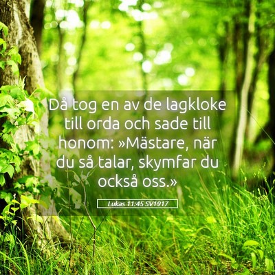 Picture 05 - Lukas 11:45 SV1917 - Då tog en av de lagkloke till orda och sade till - Bible Verse Picture